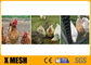 20 εξαγωνικά πουλερικά πλέγματος καλωδίων κοτόπουλου κουνελιών GA που πιάνουν τη 3/4» όξινη απόδειξη